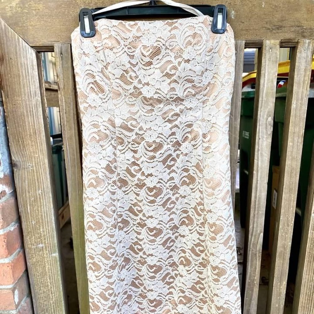 Robin Jordan Taupe Cream Lace Strapless Dress 4